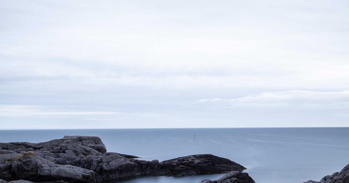 Marching Forward: Alex Chen's Essential Tech & Culture Trends for March 2026