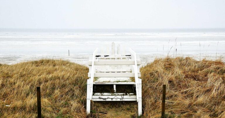 Beyond the Bling: Why Dak Prescott's Fiancé is the Ultimate X-Factor for the Cowboys in 2026