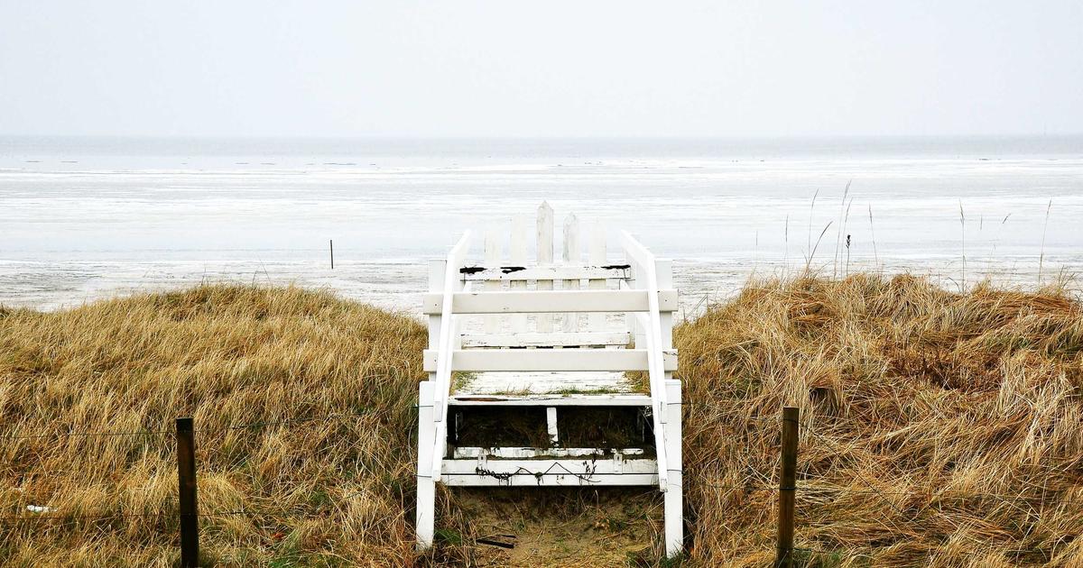 Beyond the Bling: Why Dak Prescott's Fiancé is the Ultimate X-Factor for the Cowboys in 2026