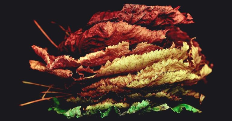 Best Mental Health Apps 2026: The Therapist-Recommended Options I Actually Trust