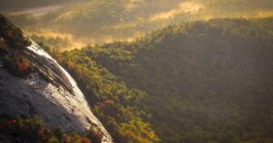 Beyond the Hype: The 2026 Tech Predictions That Are Absolutely Crushing It (So Far)