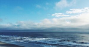 The Ghost in the Machine: What the First Airplane Fatality Teaches AI in 2026