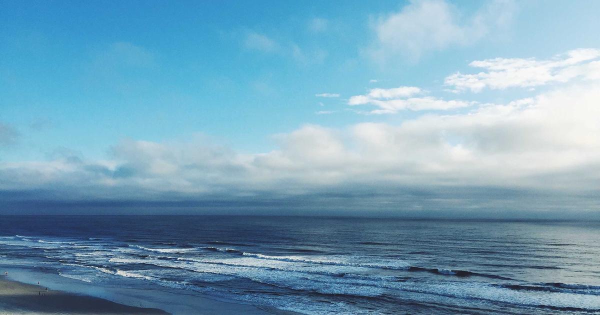 The Ghost in the Machine: What the First Airplane Fatality Teaches AI in 2026