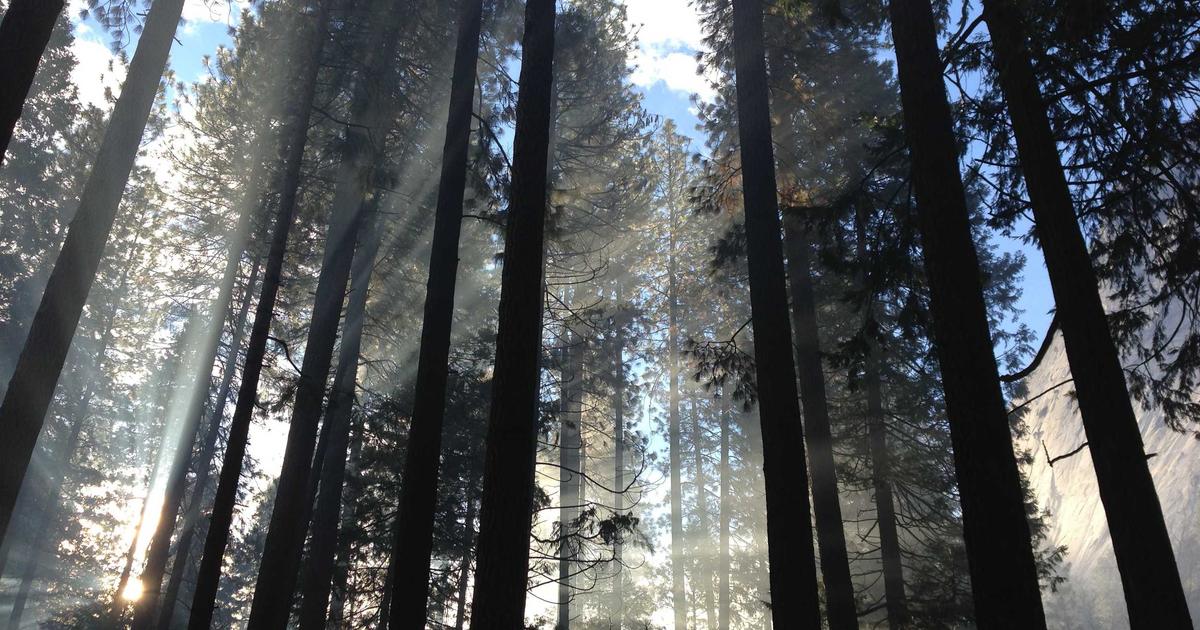 April 2026 Tech Essentials—Your Guide to Staying Ahead