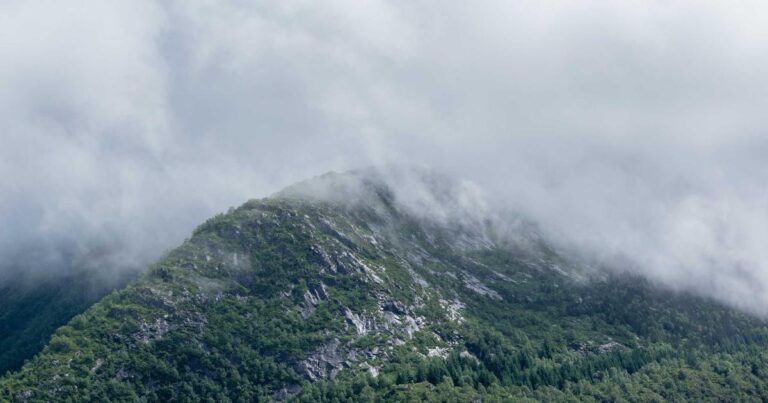 April 2026 Tech Essentials – Optimize Your Digital Life