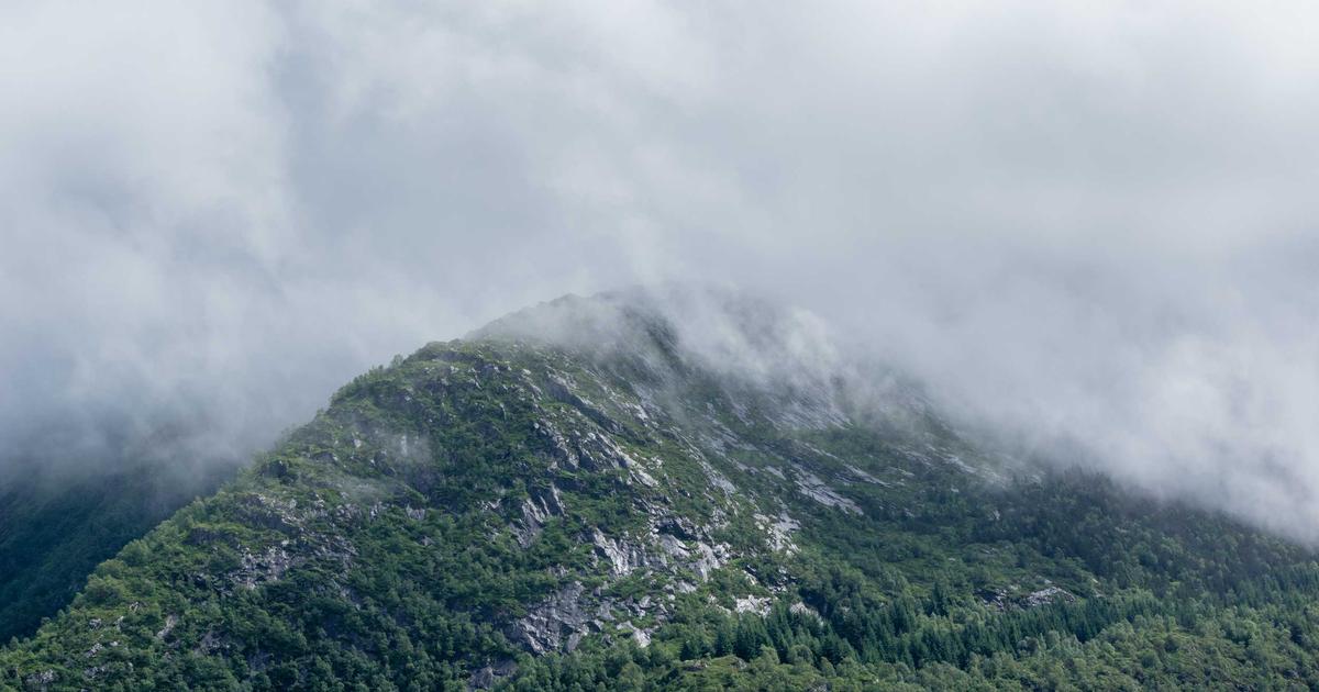 April 2026 Tech Essentials – Optimize Your Digital Life