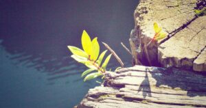 Astronaut Salaries in 2026 — What Space Explorers Earn