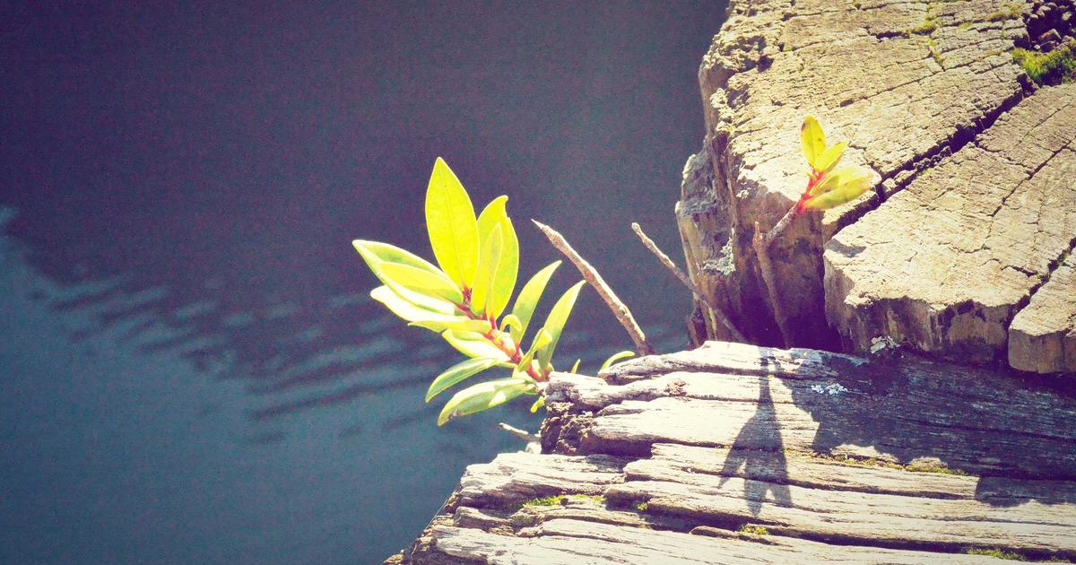 Astronaut Salaries in 2026 — What Space Explorers Earn