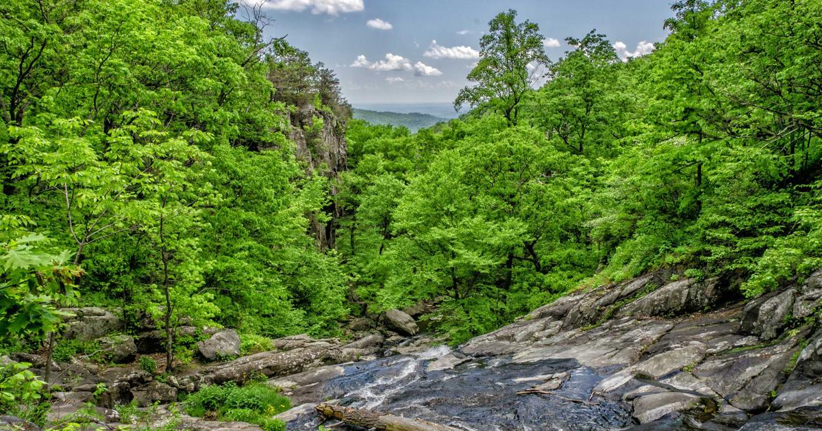 Prime Video in 2026 — Amazon's Streaming Strategy Unpacked