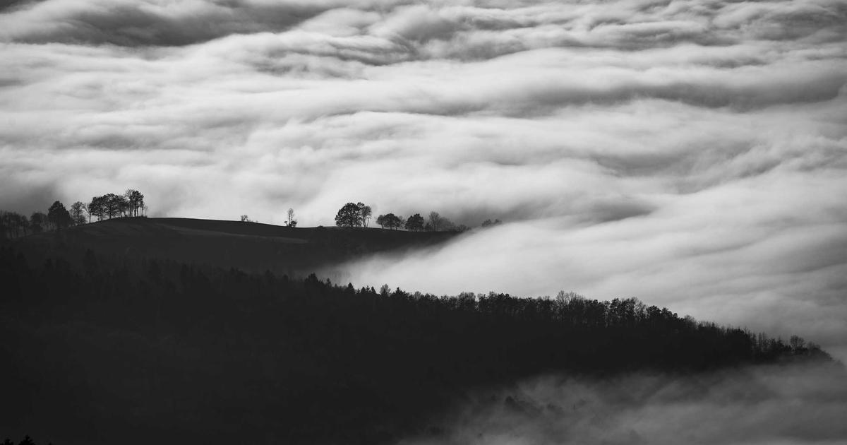 Neuroscience Breakthroughs Transforming Mental Health in 2026