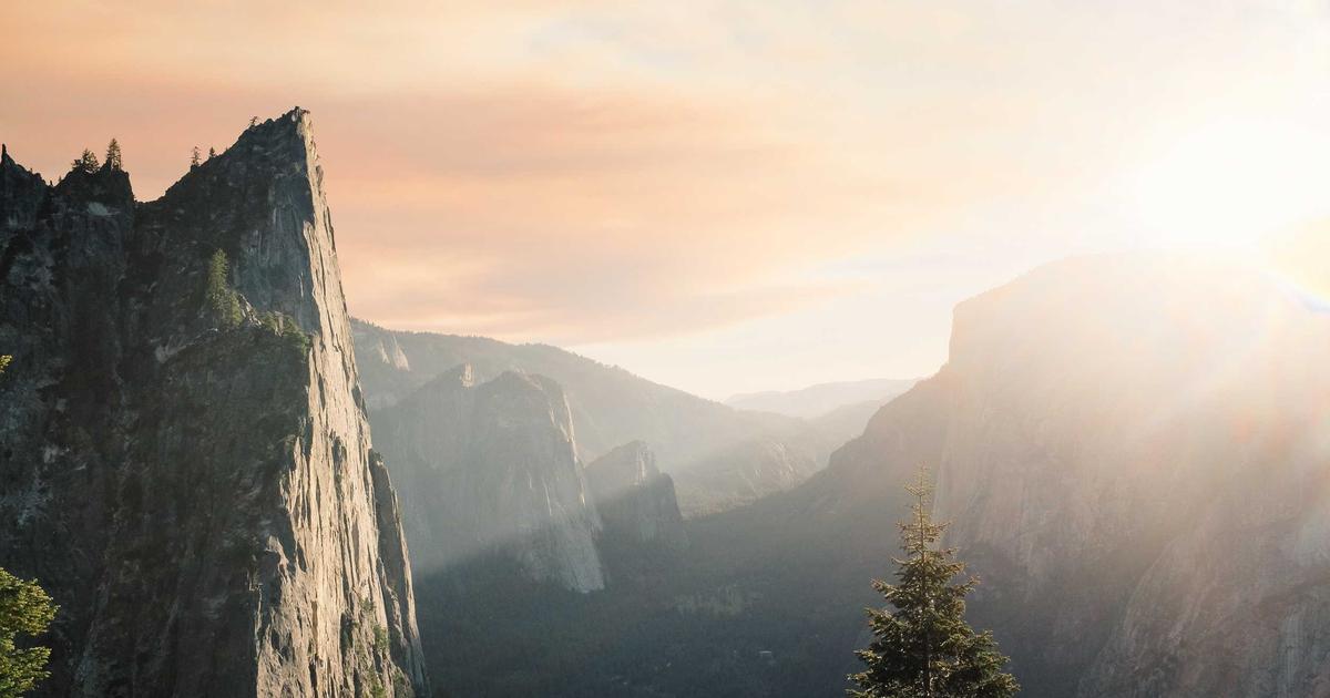 2026 Wellness Habits, Backed by Science — Real Results