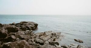 Sustainable Business 2026—Beyond Greenwashing Hype