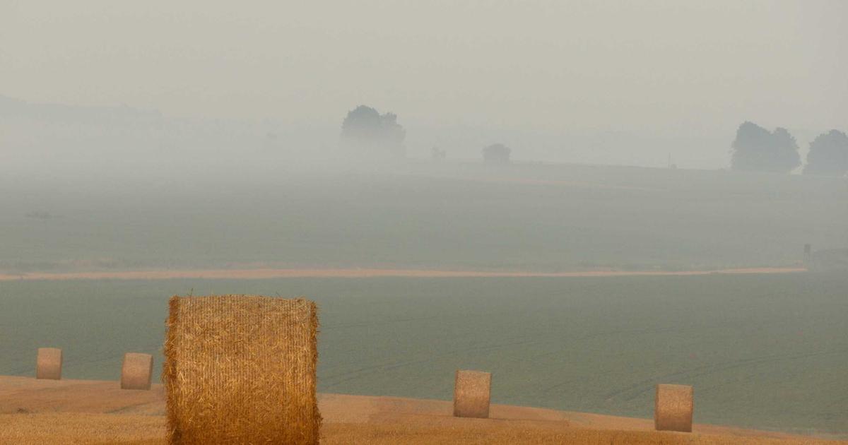 Toronto's Evolving Weather — Tech's 2026 Forecast