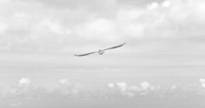 Brett Baty AI—Forecasting Future with Precision (2026)