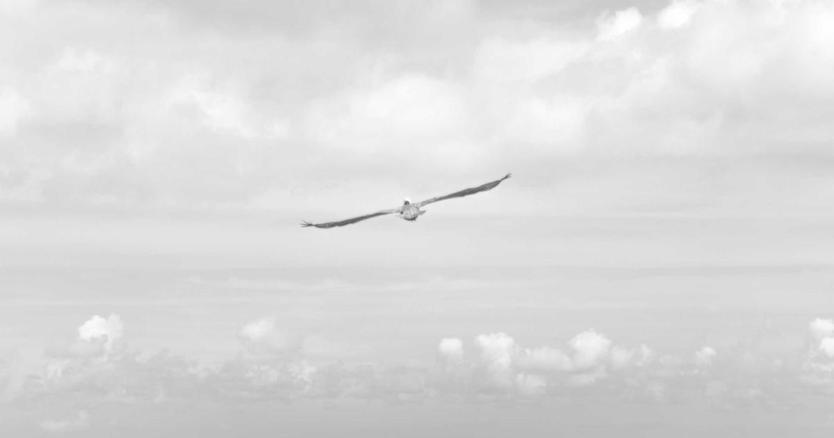 Brett Baty AI—Forecasting Future with Precision (2026)