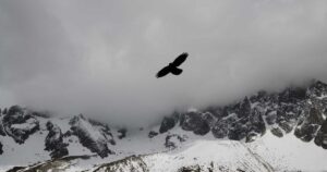 Open Source Software – The Internet's Invisible Backbone in 2026