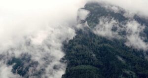 Dylan Cease and the Data Revolution Shaping MLB Pitching in 2026