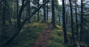 How Sleep Science Redefines Productivity – A 2026 Analysis